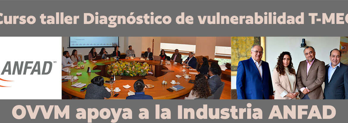 Curso taller Diagnóstico de vulnerabilidad T-MEC